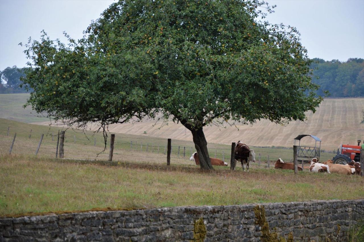La Ferme Aux Glycines 호텔 Aillevans 외부 사진